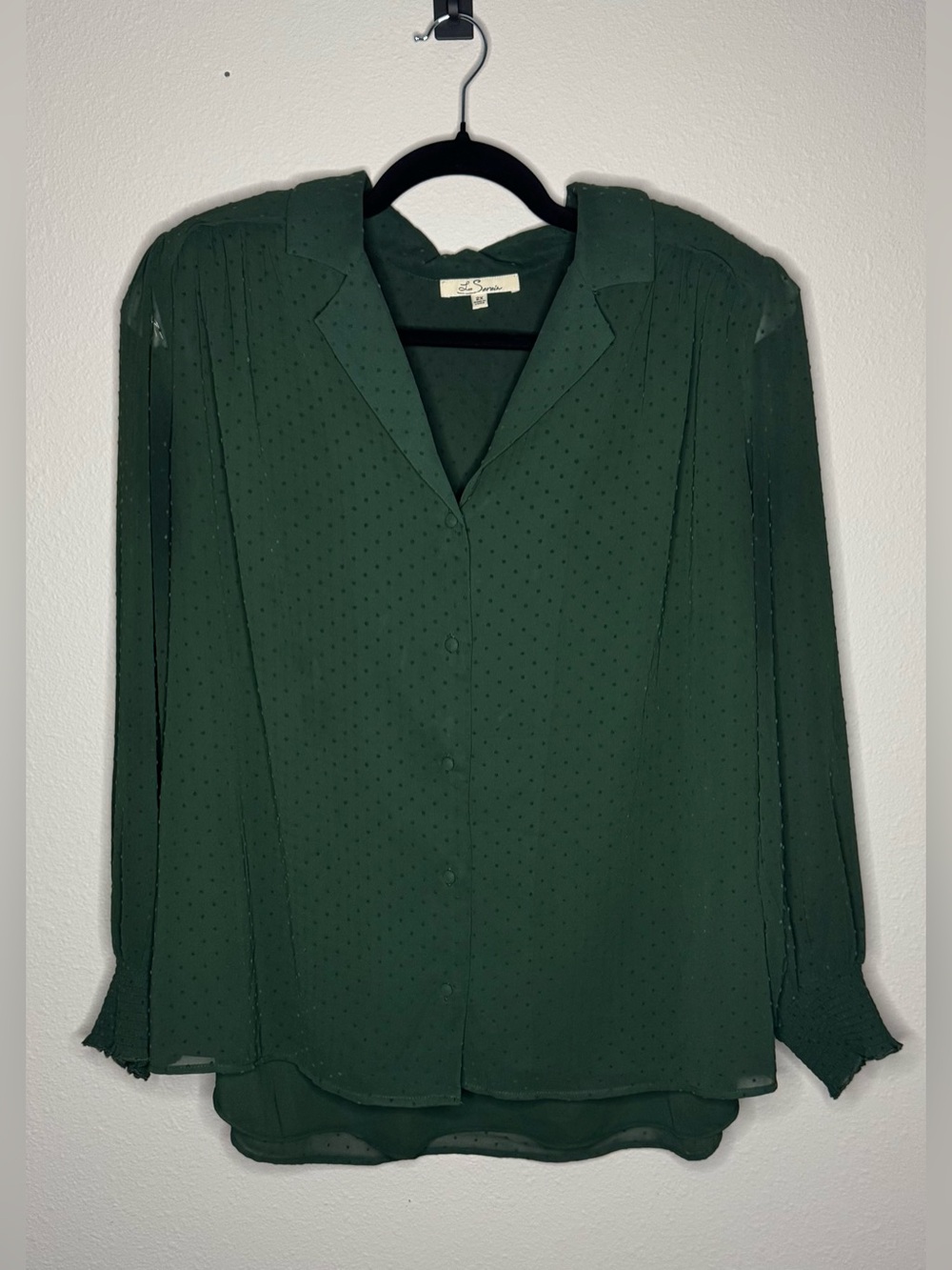 Sheer Dot-Texture Button Front Blouse in Forest Green